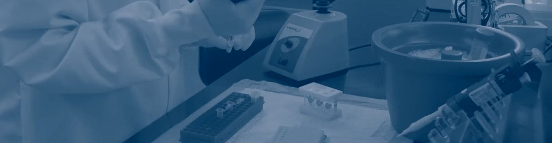 CST技術(shù)資訊-Immunoprecipitation Protocol